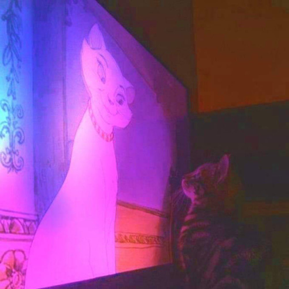 F7wLZzhWMAAeKzt?format=jpg&name=medium