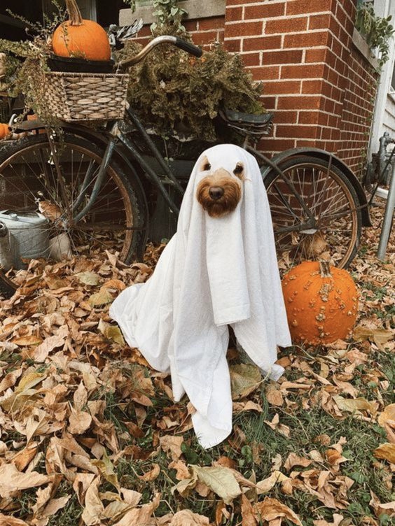 Us trying to get in the spooky-season mood despite 25 degree temps this weekend #ThatNewLookFeeling