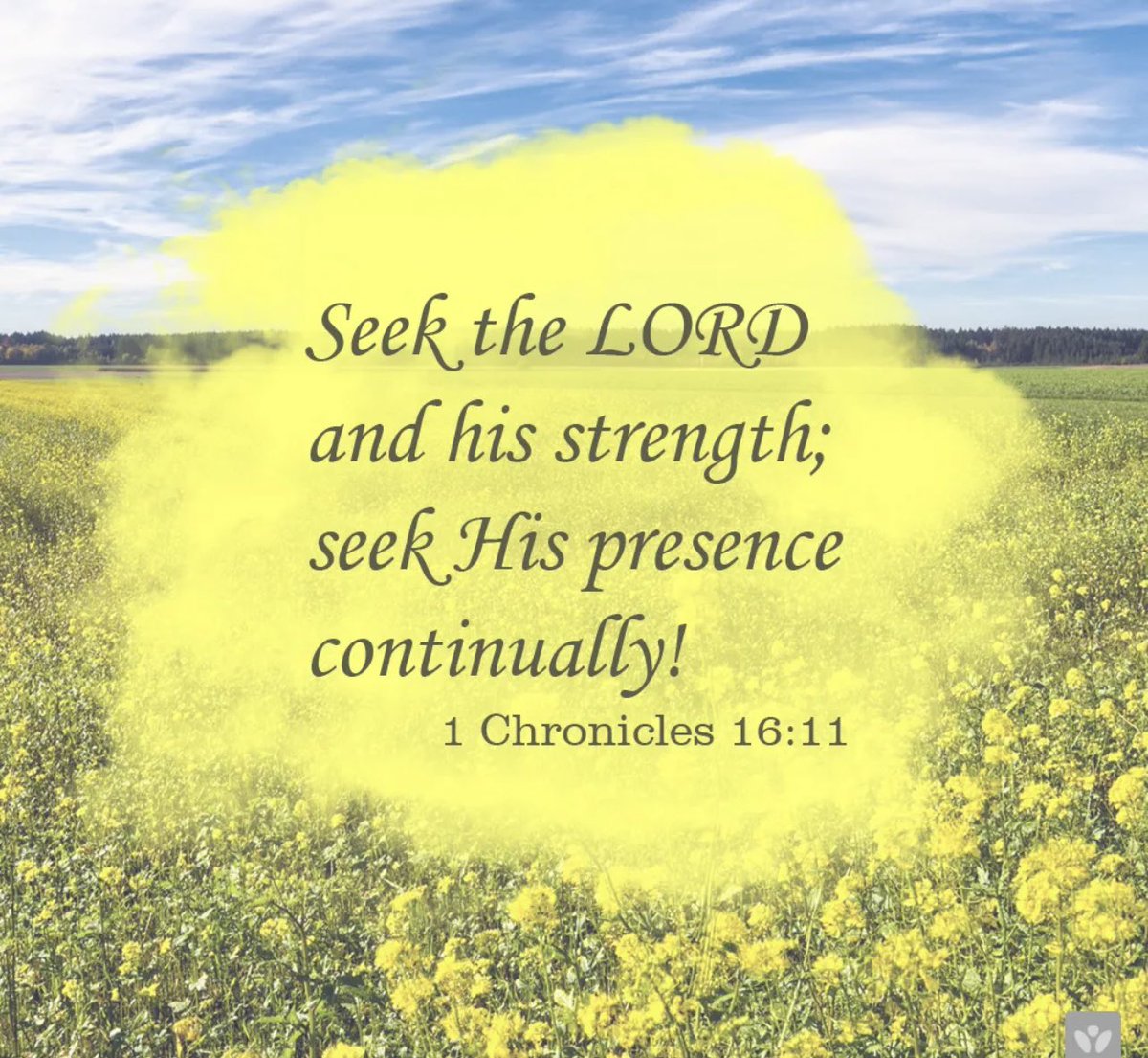 💛Good Morning Prayer Warriors💛
🌿My life demands strength…maybe yours does too! So many situations test what we are made of and while we do our best to be strong, we come up short. But we have a Savior who fights for us and bends His ear to hear our cry and lends His strength