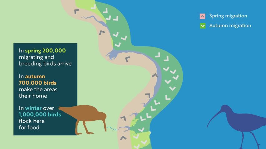 As geese gather on #MeltonFields possibly for last time I wonder if <a href="/East_Riding/">East Riding Council</a> did due diligence when approving the build of the <a href="/amazon/">Amazon</a> warehouse on the fields. <a href="/naturalengland/">Natural England</a> stated this land is functionally linked to the Humber SSSI RAMSAR part of the #EastAtlanticFlyway