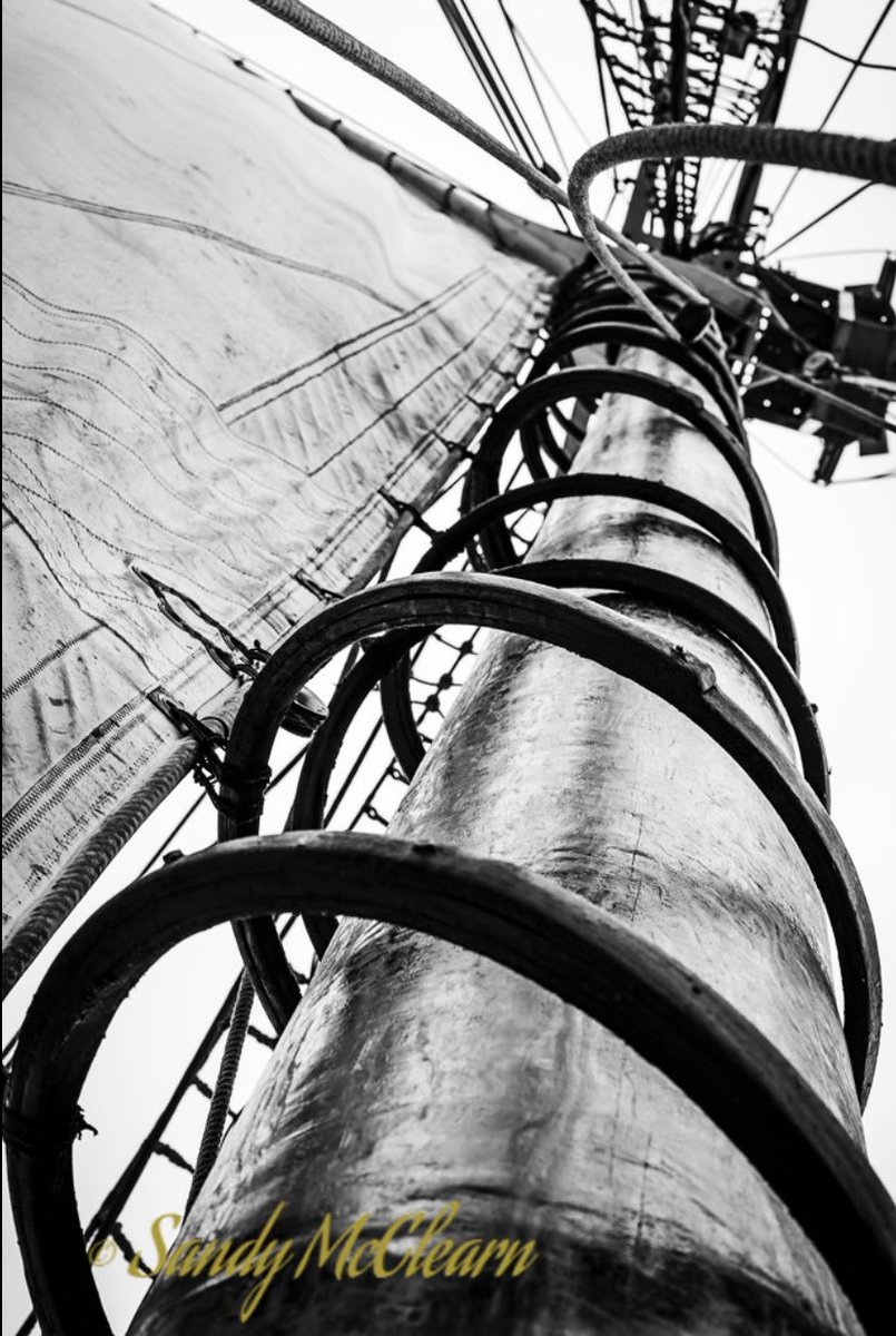 Sandy McClearn tweet media