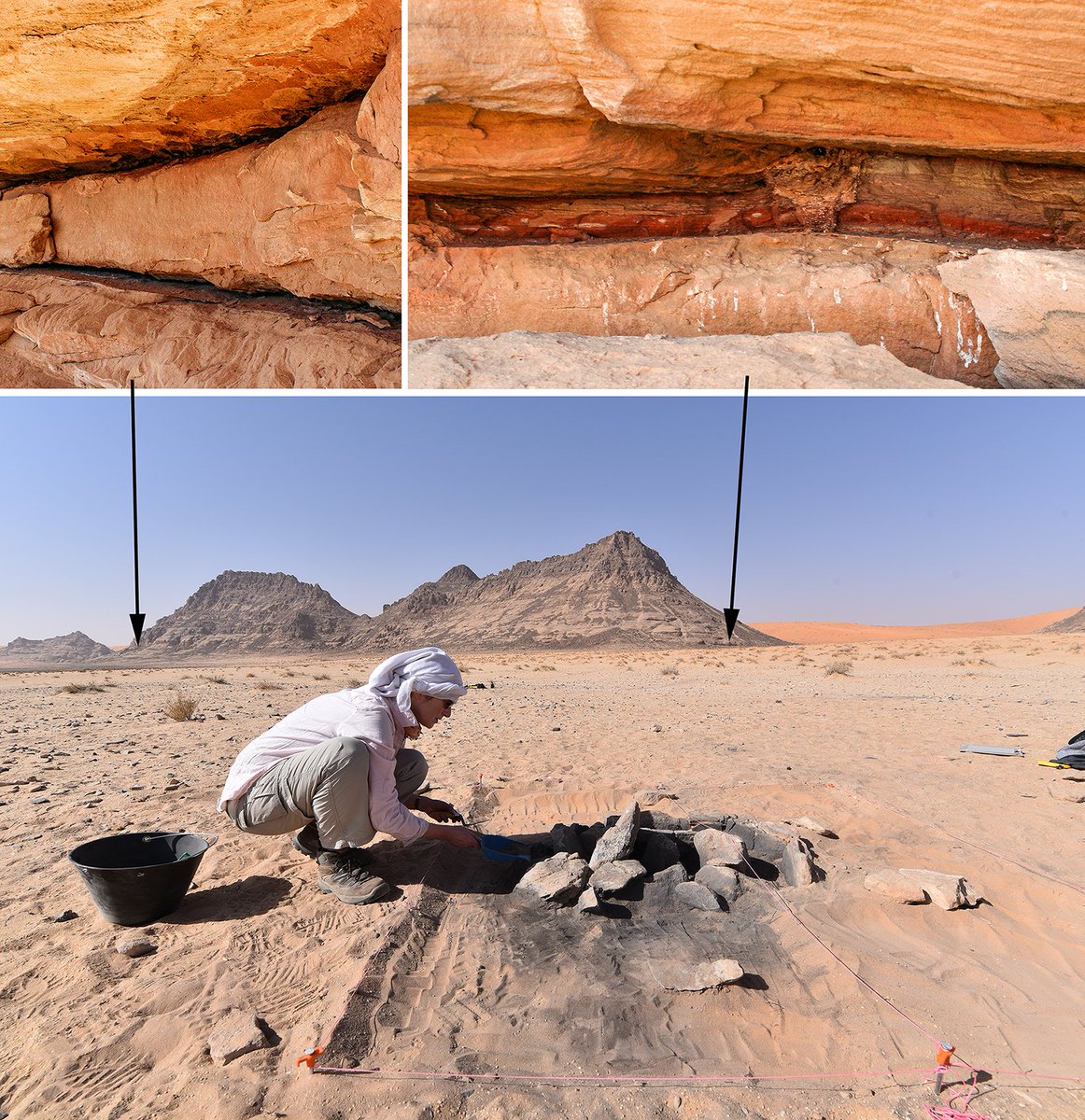 “Plant, pigment, and bone processing in the Neolithic of northern Arabia–New evidence from Use-wear analysis of grinding tools at Jebel Oraf” Congratulation @AnitaRadini and co-authors G.Lucarini, M.Guagnin, C.Shipton, A.M. Alsharekh & M.Petragliaon on their important new paper.