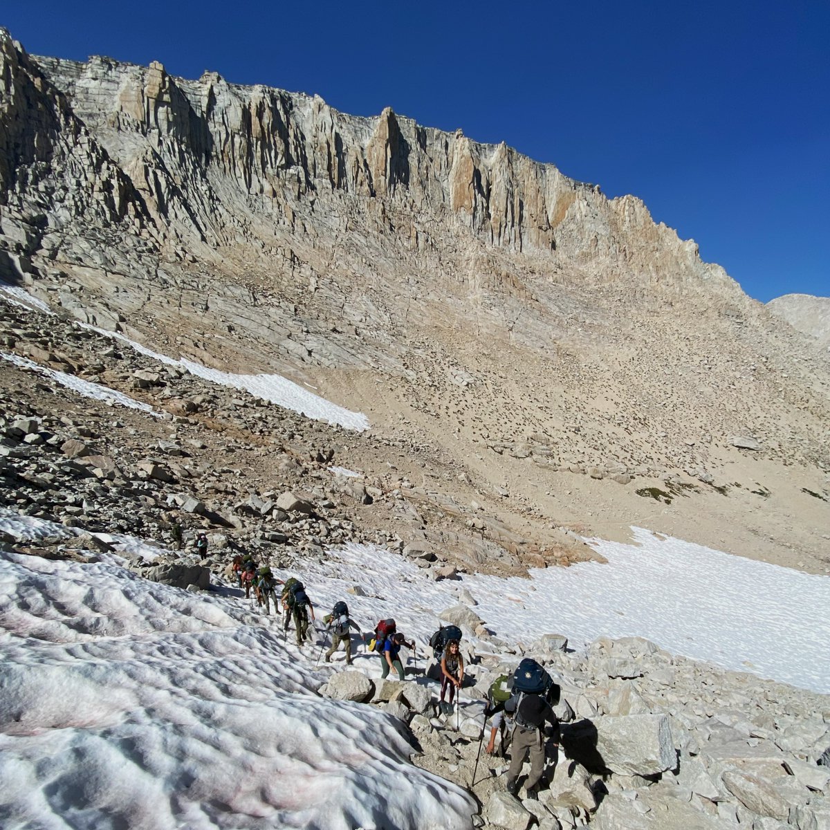 K12 Academics tweet media