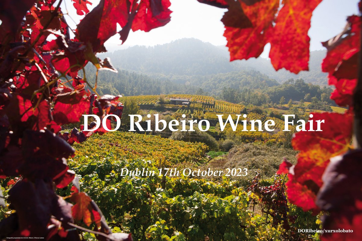 Ready to know more about one of the most exciting Spain's wine regions? #Dublin is the place. 
Save the date: 17/10 <a href="/CRDO_Ribeiro/">D.O. Ribeiro</a> Wine Fair 
10,30-12,30 Masterclass directed by <a href="/Wilsononwine/">John Wilson</a> 
13,30 - 18,30 Show-room 12 wineries
Trade&amp;Press Only 
info@uec.es - jean@jeansmullen.com