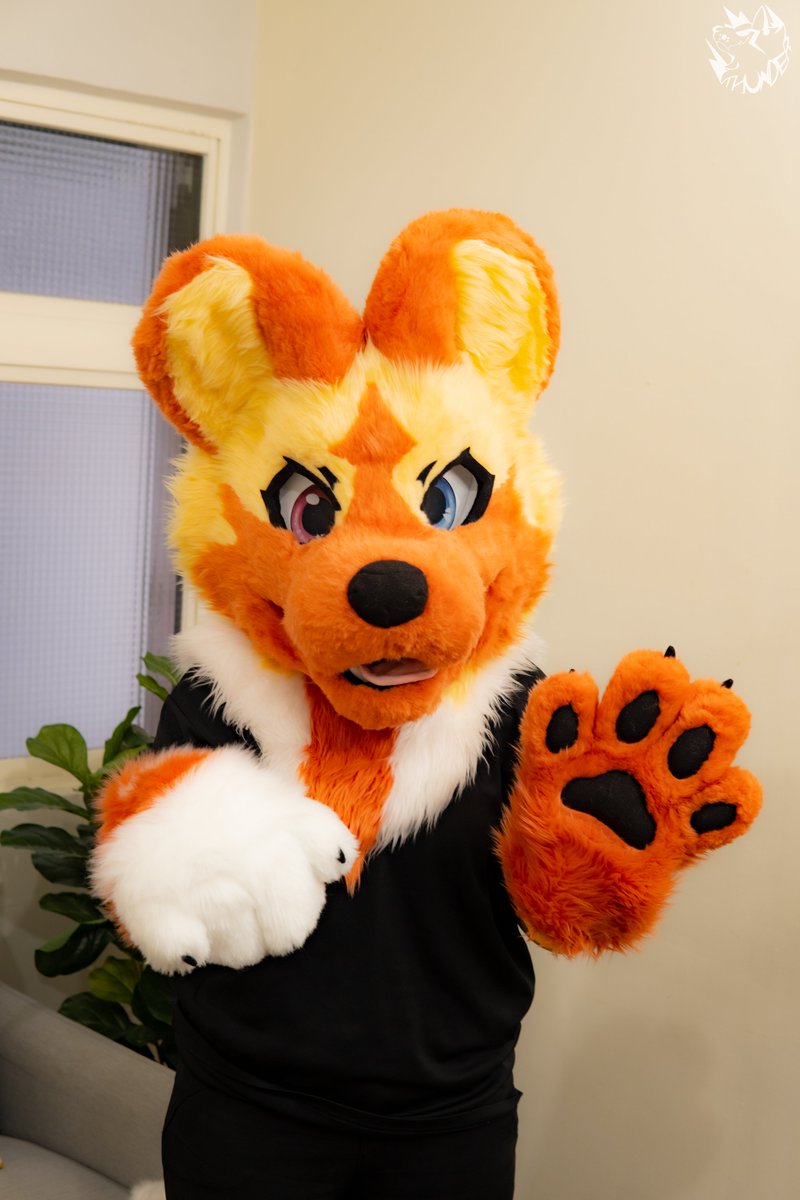 bfwf29937's tweet photo. The African wild dog fursuit I made has a new owner!!
And I also drew the new badge for this cutie.
他好可愛🥰

#fursuitfriday #fursuitmaker #furryart https://t.co/Raogo0jTiN