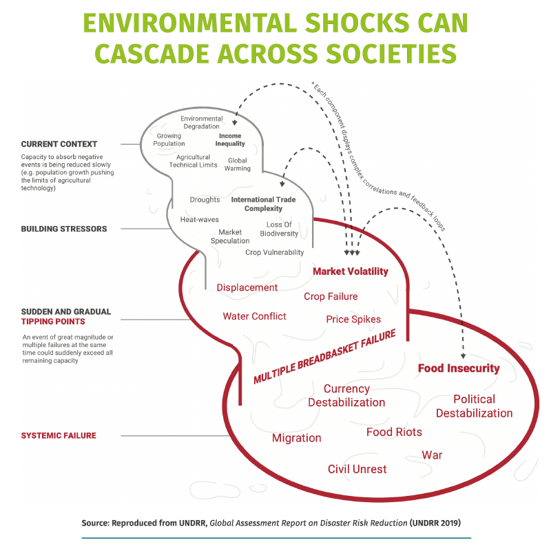 ThierryAaron's tweet photo. 3/ It's now widely recognised that we face an existential risk from cascading environmental shocks.

These shocks threaten the socio-ecological conditions which support the complex social organisations we currently take for granted - including Higher Education Institutions. https://t.co/2b9AMyeUTU