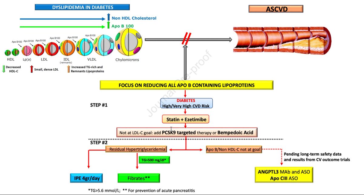 👉Lipid-lowering in diabetes: An update

🔓Open access

"Most patients with diabetes are at high or very high CVD risk"

"Dyslipidemia, characterized by hypertriglyceridemia, low levels of HDL-C, normal to slightly elevated levels of LDL-C and apo B levels, and the accumulation
