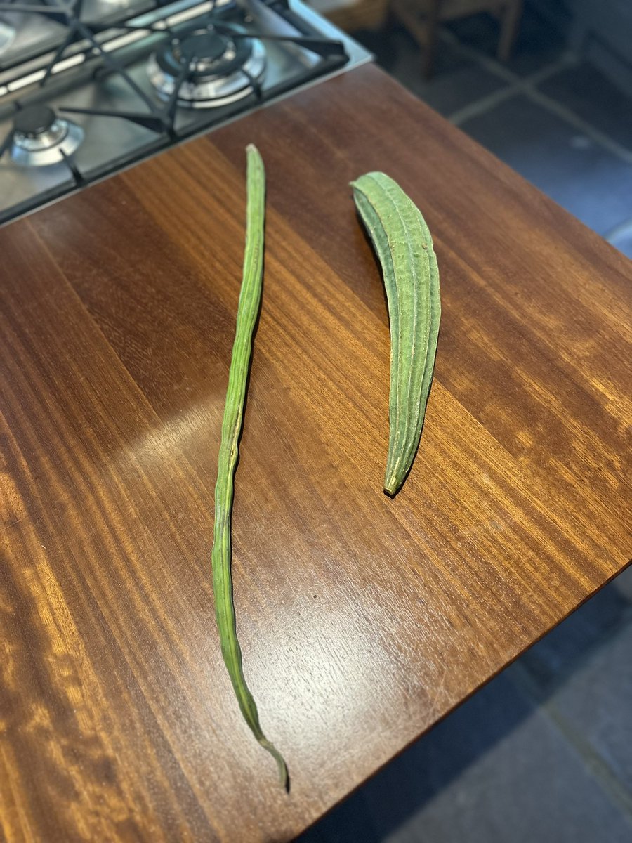 Can anyone help me with the names of these vegetables and how to cook? 🙏