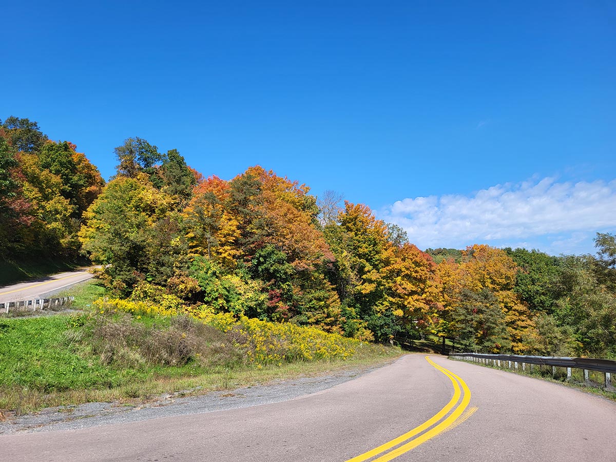 Maryland DNR tweet media