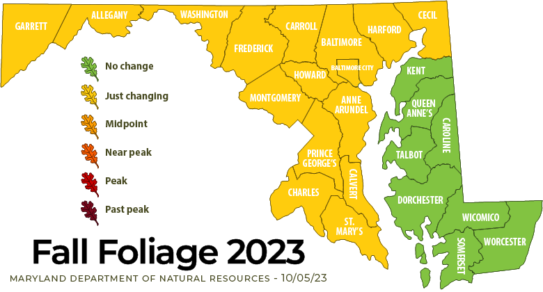 Maryland DNR tweet media