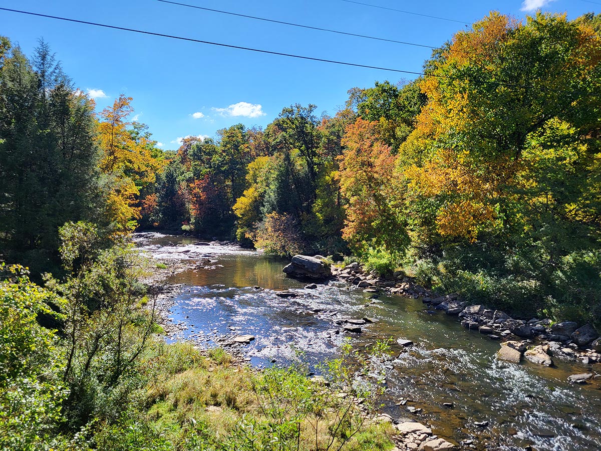 Maryland DNR tweet media