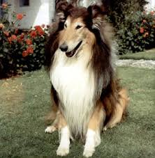 Bev 🏴󠁧󠁢󠁳󠁣󠁴󠁿 tweet media