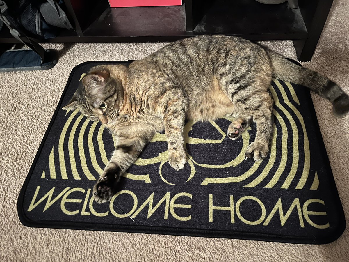 FrankForcino's tweet photo. Everyone’s favorite new spot @Coheed https://t.co/37L2raYa6H