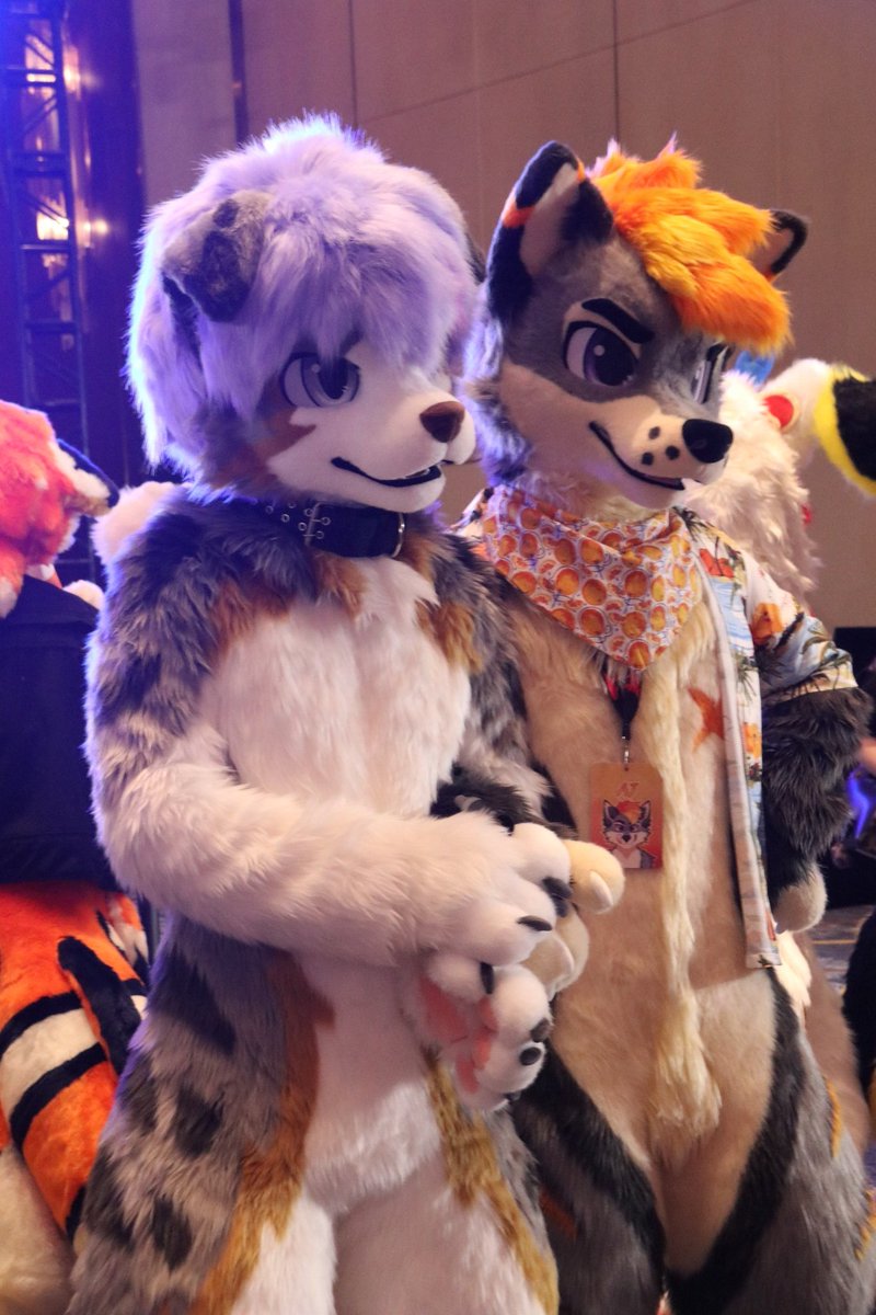 AJ_Arxpro's tweet photo. At Shanghai Furtopia this week
#FursuitFriday https://t.co/cm3ix8oNxr