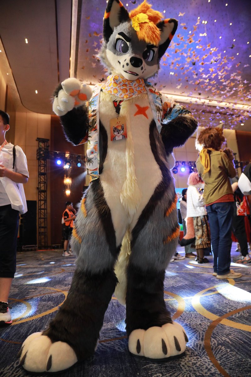 AJ_Arxpro's tweet photo. At Shanghai Furtopia this week
#FursuitFriday https://t.co/cm3ix8oNxr