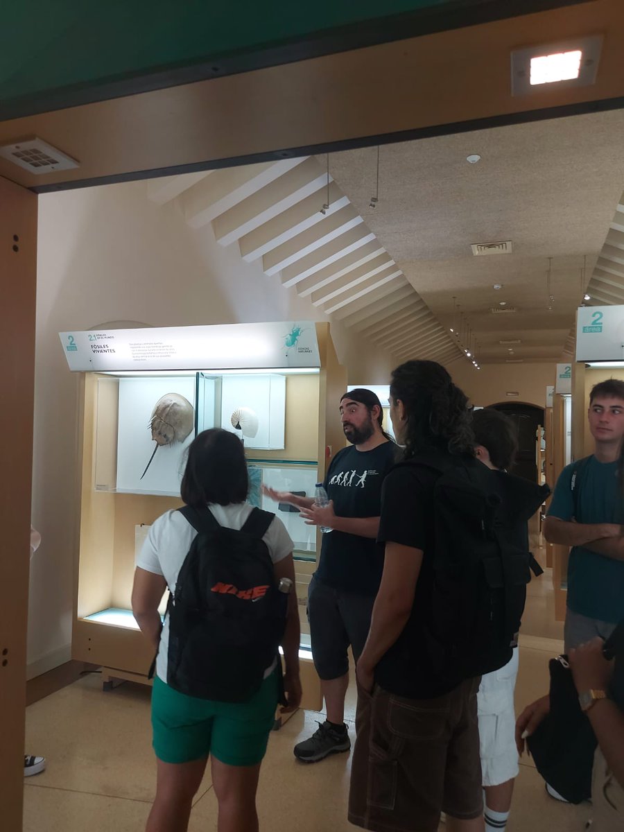 Hoy hemos estado de visita en el MUNA con parte de los alumnos de 4º de Paleontología viendo las salas y las colecciones de ciencias naturales de la mano de la conservadora <a href="/EstherMartin69/">Esther Martín</a> y de <a href="/vidacres/">Vicente D. Crespo</a> investigador del equipo <a href="/paleomammalab/">Paleomammalab</a>
