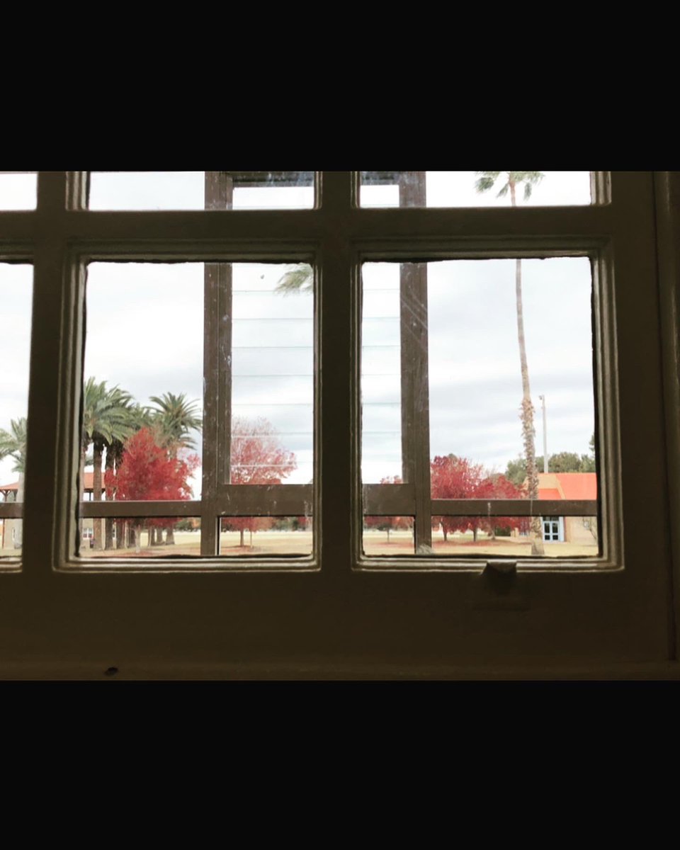 Katie Rolls tweet media