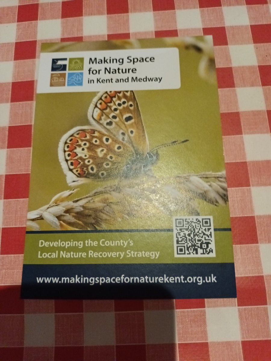 nikkigammans's tweet photo. Yesterday, the launch of Making space for Nature #MS4N, which is a local nature recovery strategy for Kent. Each county will have their own. Government bodies, NGOs, local environmental groups, & recorders were present. Looking forward to seeing the progression @BumblebeeTrust https://t.co/ahRUqUFn87