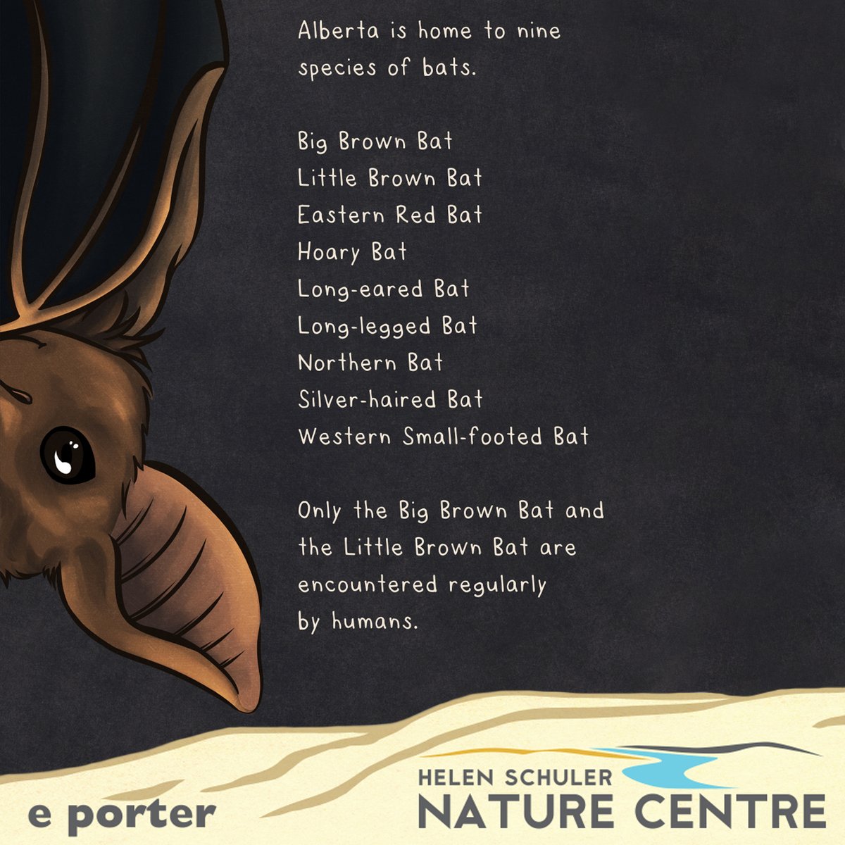 This #FactFriday is hanging out. Get ready for some bat facts this month! #yql