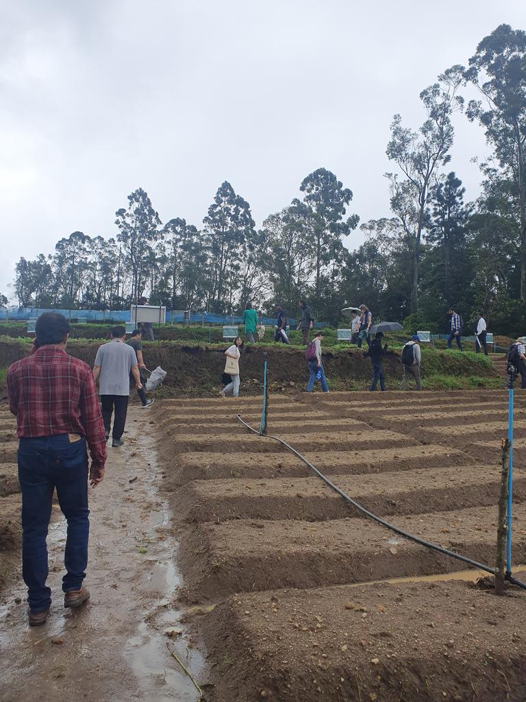 GCRF South Asian Nitrogen Hub (@gcrfnitrogenhub) on Twitter photo #SANH2023 visiting the <a href="/UniPeradeniya/">University Of Peradeniya</a> SANH crop trials as part of our #fieldtrip #SANH2023 visiting the <a href="/UniPeradeniya/">University Of Peradeniya</a> SANH crop trials as part of our #fieldtrip