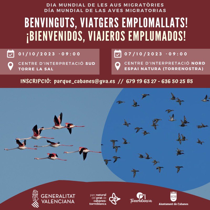 🐦En esta època, gran quantitat d'aus de latituds més altes acudeixen a les nostres zones humides per a passar els mesos més freds

🙂Vos convidem a una ruta pel Parc Natural del Prat de Cabanes per a conéixer de més a prop a estes acolorides veïnes que són les aus del Prat👇