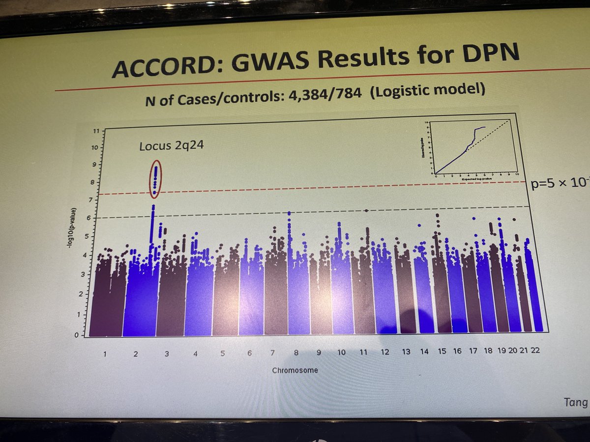 Fascinating talk on #genetics of #diabetes #neuropathy from Hetal Shah <a href="/JoslinDiabetes/">Joslin Diabetes Center</a> at #EASD2023

New area and combined with Omics - can be powerful

⚠️ Need better DPN definitions 

<a href="/Neurodiab_eu/">Neurodiab</a> <a href="/EASDnews/">EASD</a> <a href="/EASDelearning/">EASDelearning</a> <a href="/AbdTahrani/">Abd Tahrani</a> <a href="/docmaltese/">Giuseppe Maltese</a> <a href="/PreatoniGreta/">GretaPreatoni</a> <a href="/GroupENA/">ENA Group 👁️</a>