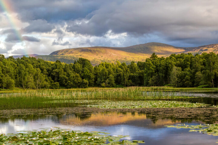 Edward Duncan tweet media