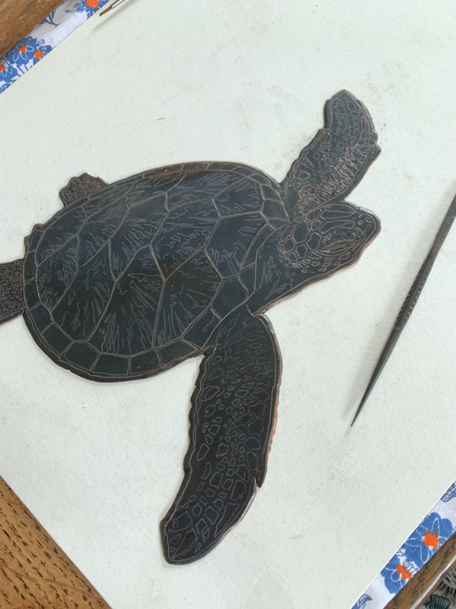 Just started on another etching. A Green Turtle.