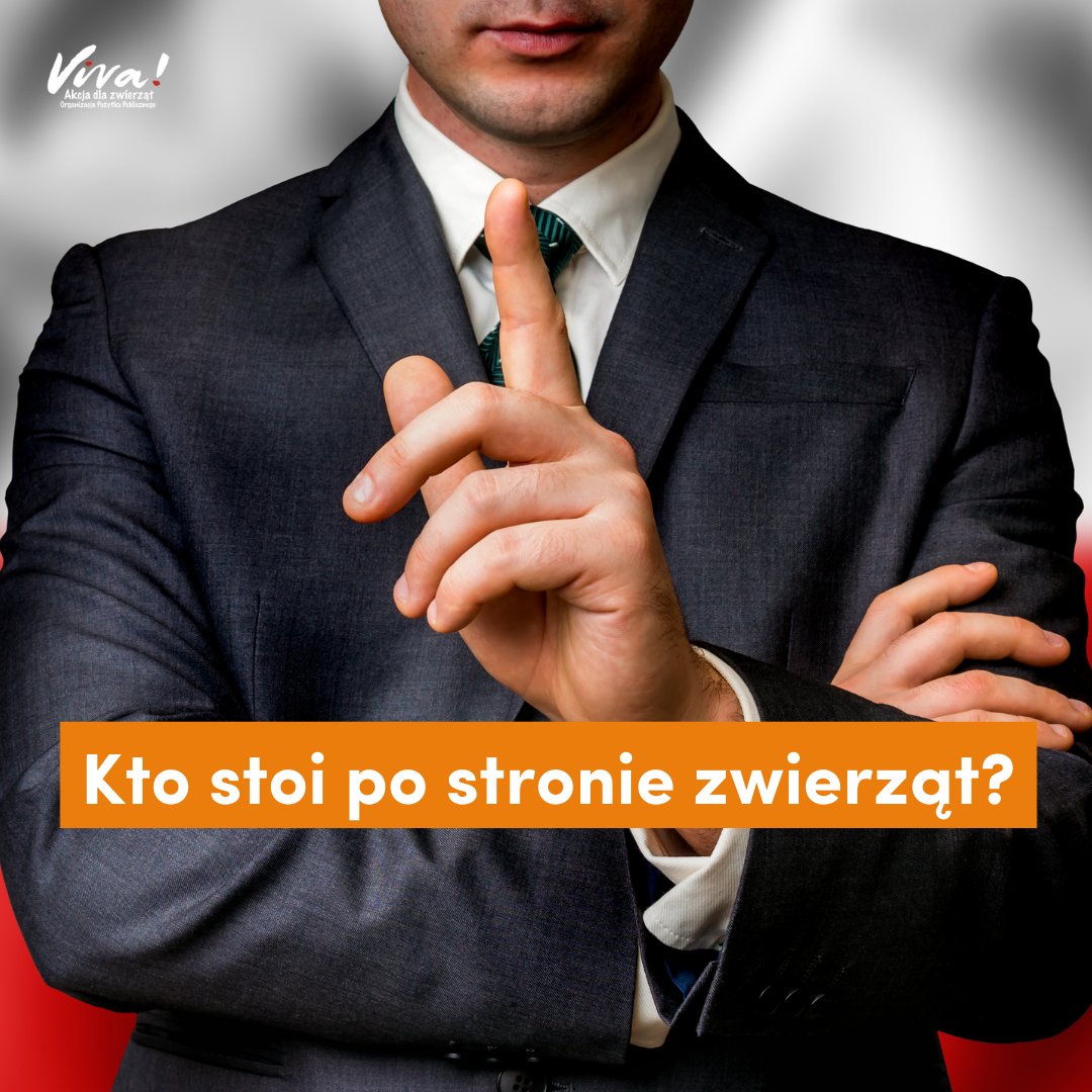 📷Sprawdź, którzy politycy przejmują się losem zwierząt! Wejdź na politycyzwierzetom.pl i sprawdź konkretnego polityka!
Jeżeli znacie polityka, który na stronie ma 0 punktów, zasugerujcie mu, by napisał na adres politycy@viva.org.pl - otrzyma ankietę do wypełnienia.
📷Już 15