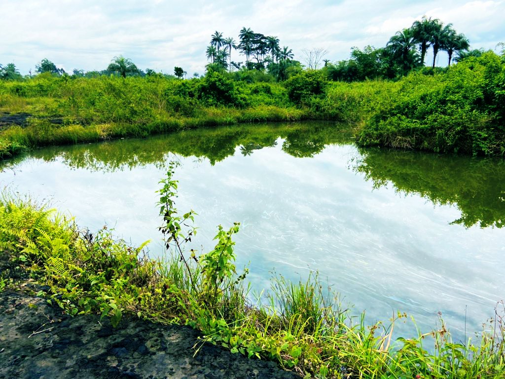 Mr. Climate tweet media