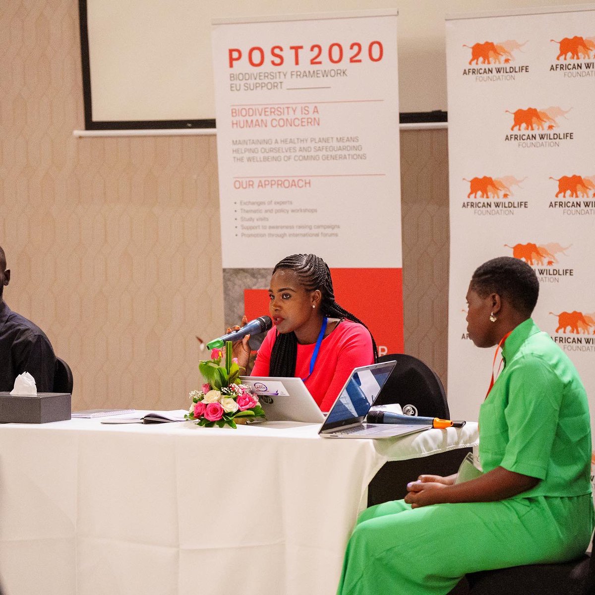 African Youth Summit on Biodiversity tweet media