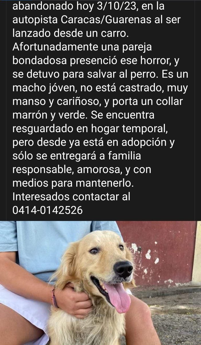 PerroUsuario's tweet image. Reporta @volknsoni: Perrito en adopción responsable . Ccs