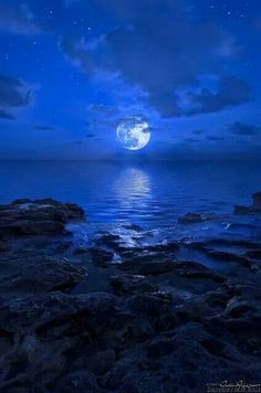 vini170874's tweet photo. Feeling seen and known,
as our soul is acknowledged,
tears of healing flow.

GEORGE PAYNE https://t.co/NWO99sbNIV