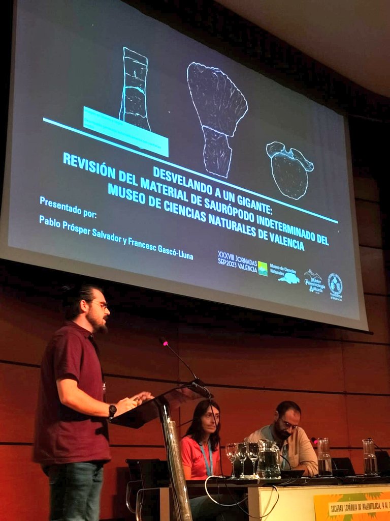 pablosaurus_98's tweet photo. Hoy he presentado junto a @pakozoic los resultados de parte de mi TFM en la @Sepaleontologia. Versa sobre un estudio sistemático de restos de dinosaurio saurópodo indeterminado del Museo de Ciencias Naturales de Valencia. ¡Muy contento y con ganas de hacer más ciencia! 🦕 https://t.co/OyNgbI4arb
