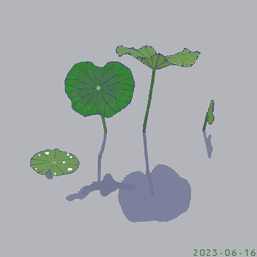 「睡蓮 植物」のTwitter画像/イラスト(新着)