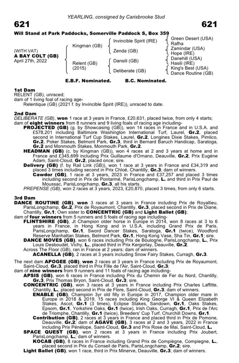 Lot 621 @Tattersalls1766 Book 2 is a precocious son of @JuddmonteFarms KINGMAN out of Relent (Dansili) making him a 3 parts brother to Gr 2 winner & sire HEADMAN as well as close relation to FLINTSHIRE from the family of Projected, Concentric & the mighty ENABLE