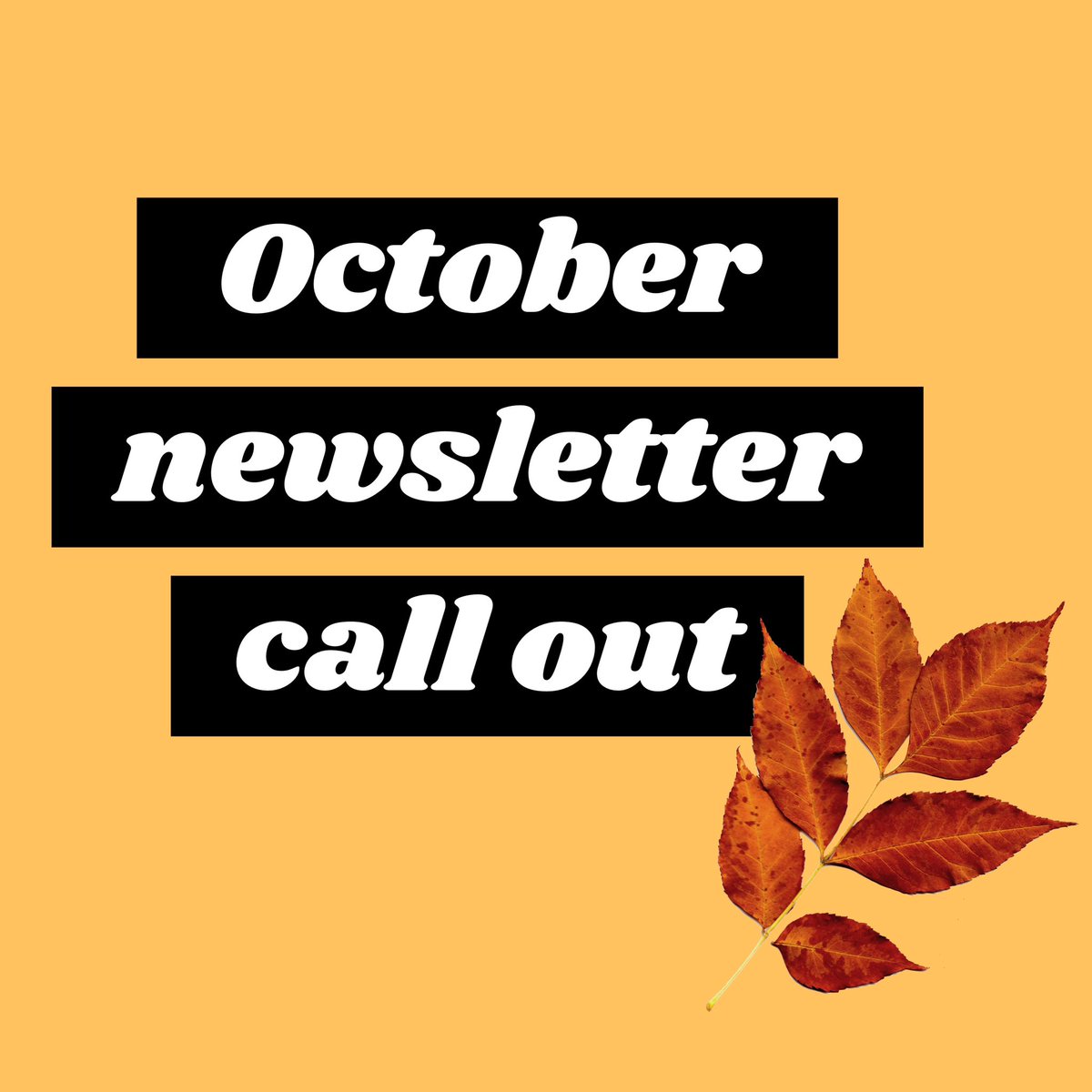 Call out for news/events/workshops/opportunities for the October CHAOS newsletter!

Are you a creative in #southampton with something you’d like to share? We’d love to hear from you 👍

Sign up to our newsletter and find out more here👇
chaosnetwork.org.uk/newsletter/
