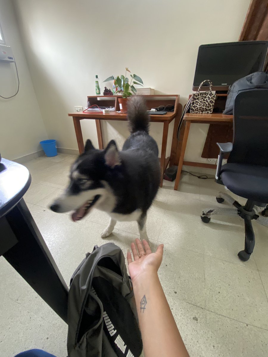 Vanshita tweet media