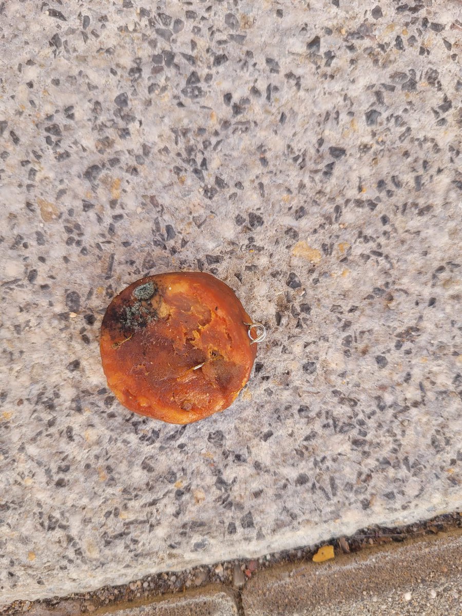 Maricuela27's tweet photo. No me entra en la cabeza que gente ponga comida con pinchos e imperdibles en la puerta de las casas con perros.
Tener cuidado por la zona San Ramon de Parla, esta mañana en mi puerta había 5 trozos de chorizo con pinchos.
@AytoParla https://t.co/bN5LwDjSFw