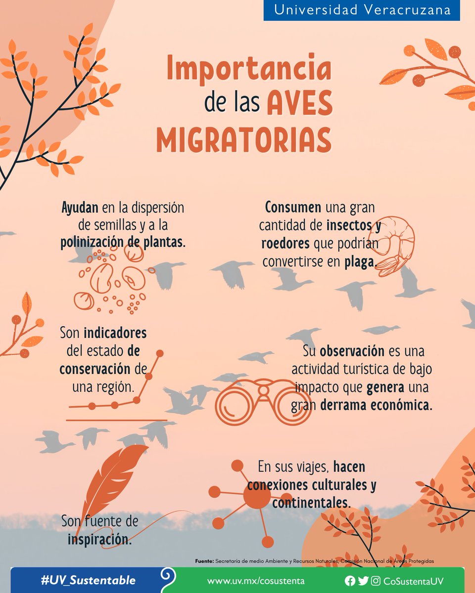 CoSustenta UV tweet media