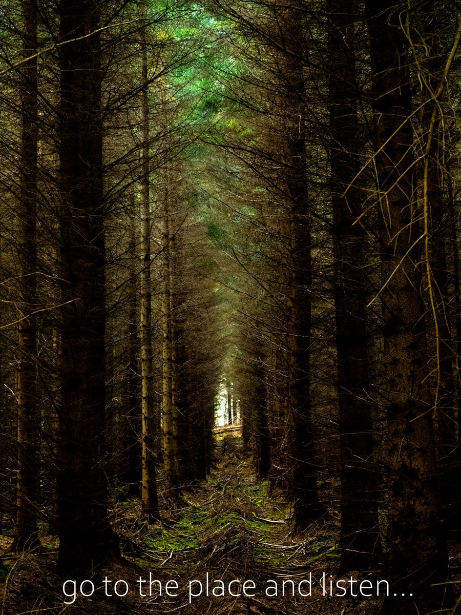 OBT imaging (@ourbesttimes) on Twitter photo Light, Finds A Way...
#photo #photography #idea #weekend #nature #relax #inspired #writer #poet #lyrics #pictures <a href="/OurBestTimes/">OBT imaging</a> Light, Finds A Way...
#photo #photography #idea #weekend #nature #relax #inspired #writer #poet #lyrics #pictures <a href="/OurBestTimes/">OBT imaging</a>