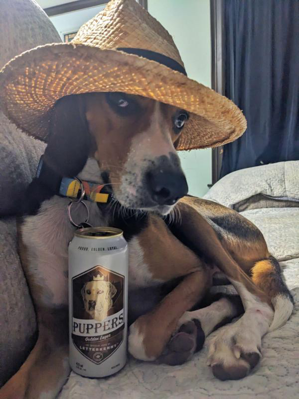 Ready for the weekend, bud. Puppers is available at select @LCBO, @TheBeerStoreON, @sobeys, @MetroOntario and Foodland locations. 🍻 via IG/stevenwaters2
