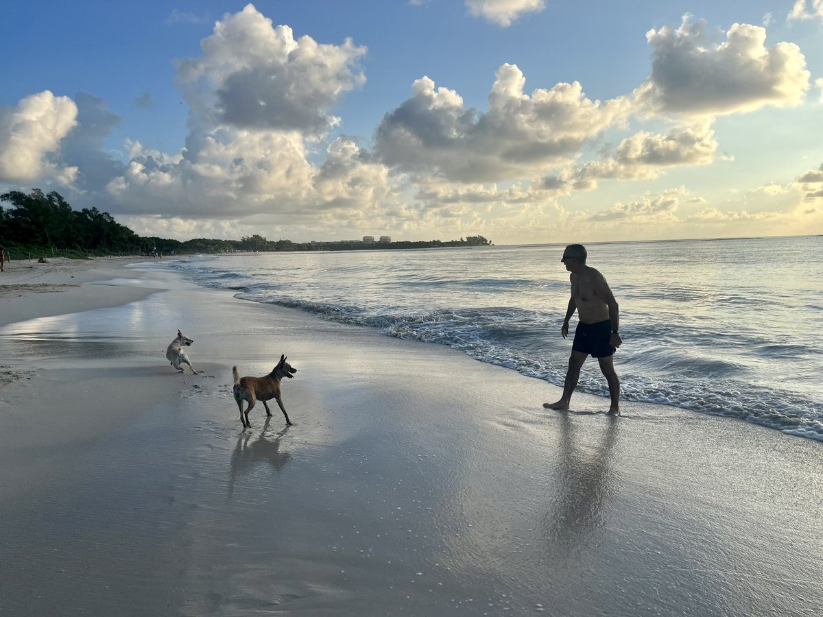 BeSocialEdu's tweet photo. ¡Que tengas un excelente fin de semana!
Mis mejores deseos desde #PlayaDelCarmen #RivieraMaya 
@dogbeachpdc @charlysal85 @DeViajeXMexico https://t.co/HkegxN28Bb