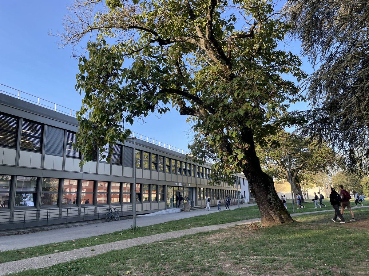 Franck Bizet tweet media