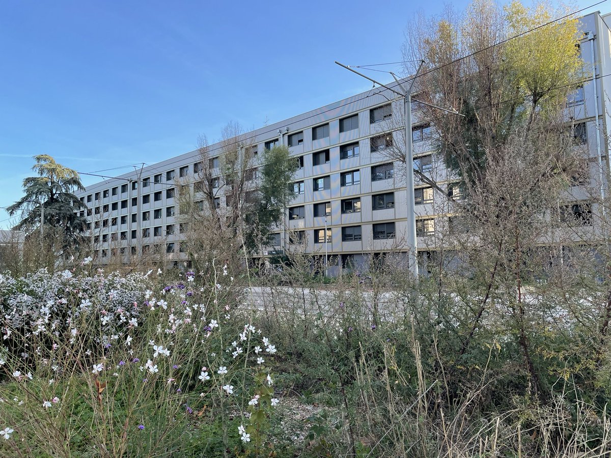 Franck Bizet tweet media