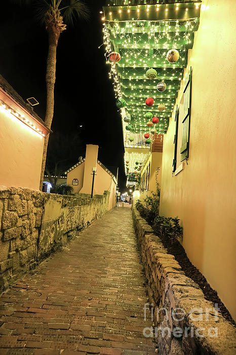 New artwork for sale! - "Christmas At St. Augustine, Florida" -    fineartamerica.com/featured/chris…
#photography #naturephotography #landscape #christmas #florida #staugustine