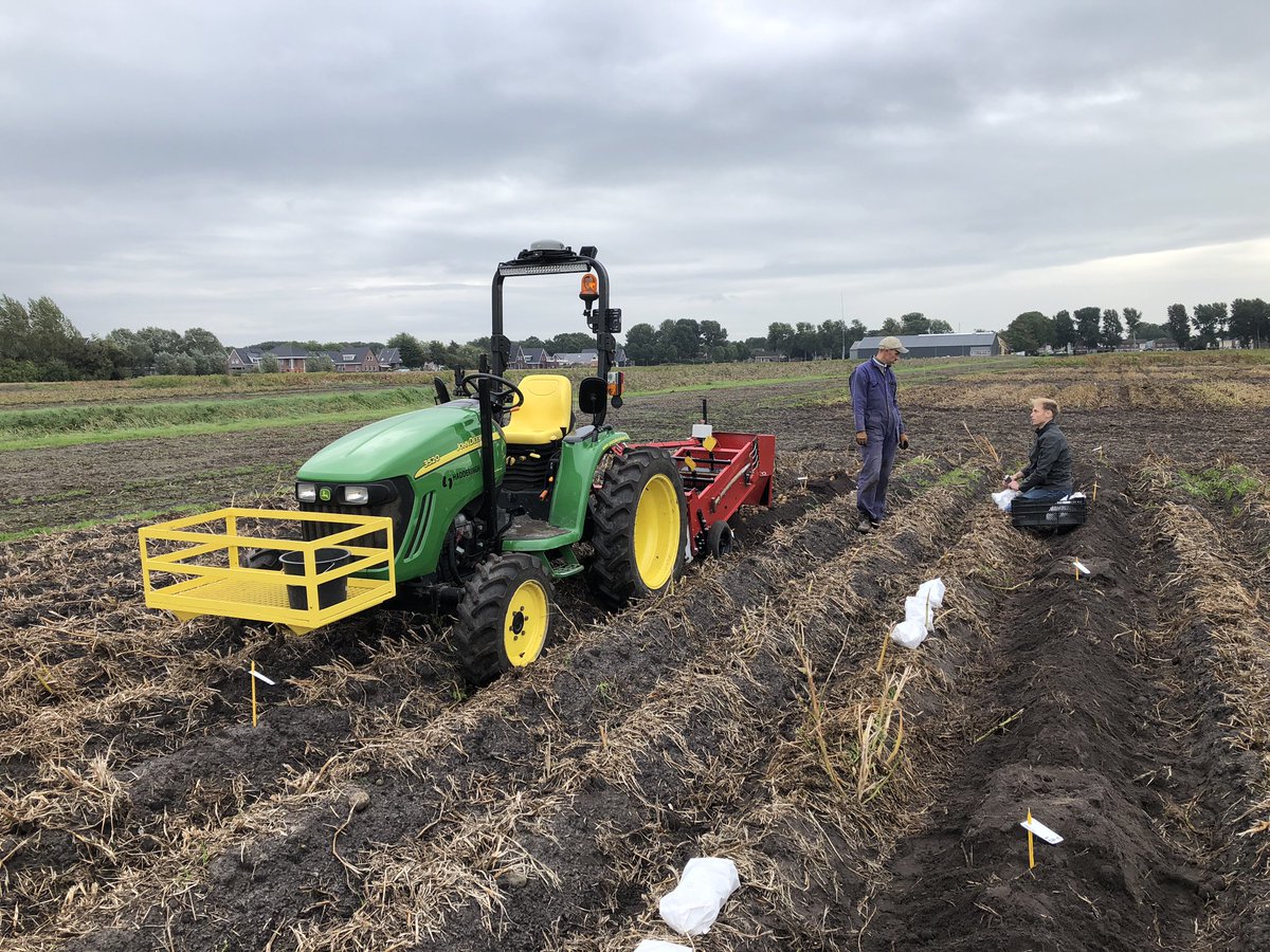 Het #Serenade #onderzoek gaat ook dit jaar weer gewoon door. Minder groen met Serenade toevoeging in de teelt. #kennis #zetmeel #akker #aardappel #potato #biologisch #teambayerbenelux @BayerCropNL