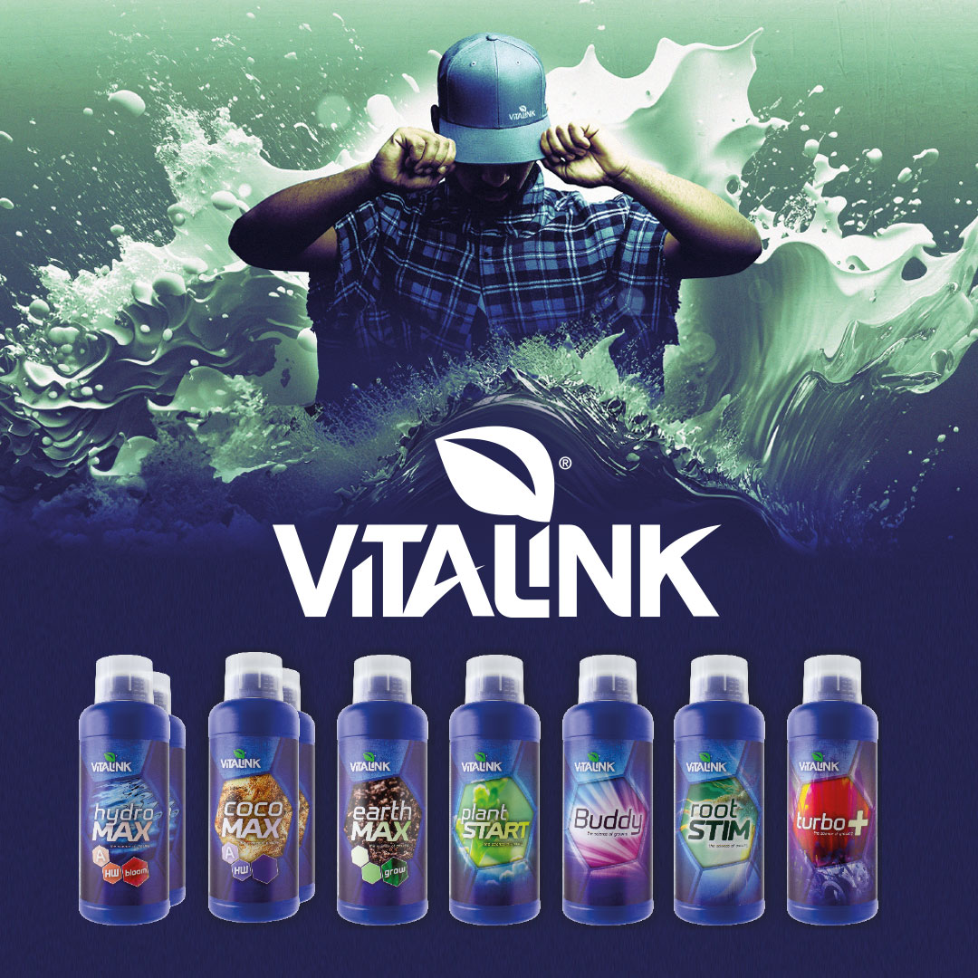 growin_de's tweet photo. Neu bei uns im Sortiment!
VitaLink-Basisnährstoffe,  die speziell für bestimmte Anbauformen formuliert wurden, egal ob du in  hydroponischen Systemen, mit Kokos oder Erde Züchtest. Zusatzstoffe können die Ergebnisse, die du mit deinen Pflanzen erzielst, wesentlich verbessern. https://t.co/Qo4DzjOHIq