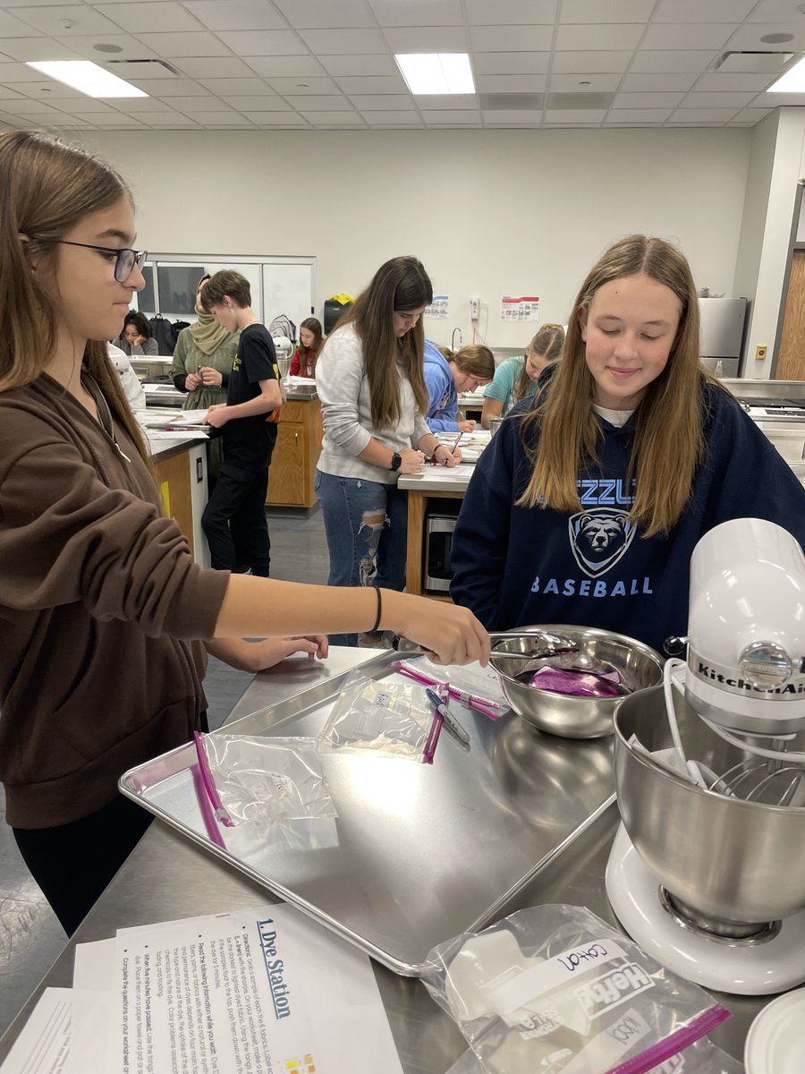 lsbhigh's tweet photo. Introduction to Design investigated fashion and interior design materials and fibers to determine what works best and when #lsbdesign #sayyestofcs #clawsout https://t.co/ZKZn0WwQij