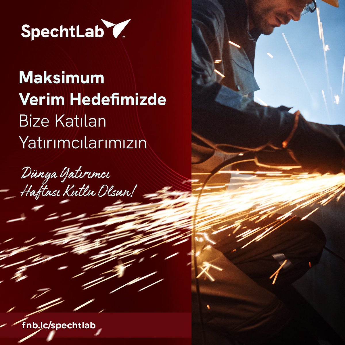 SpechtLab tweet media